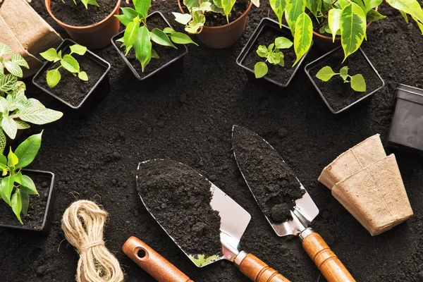 Jardineria